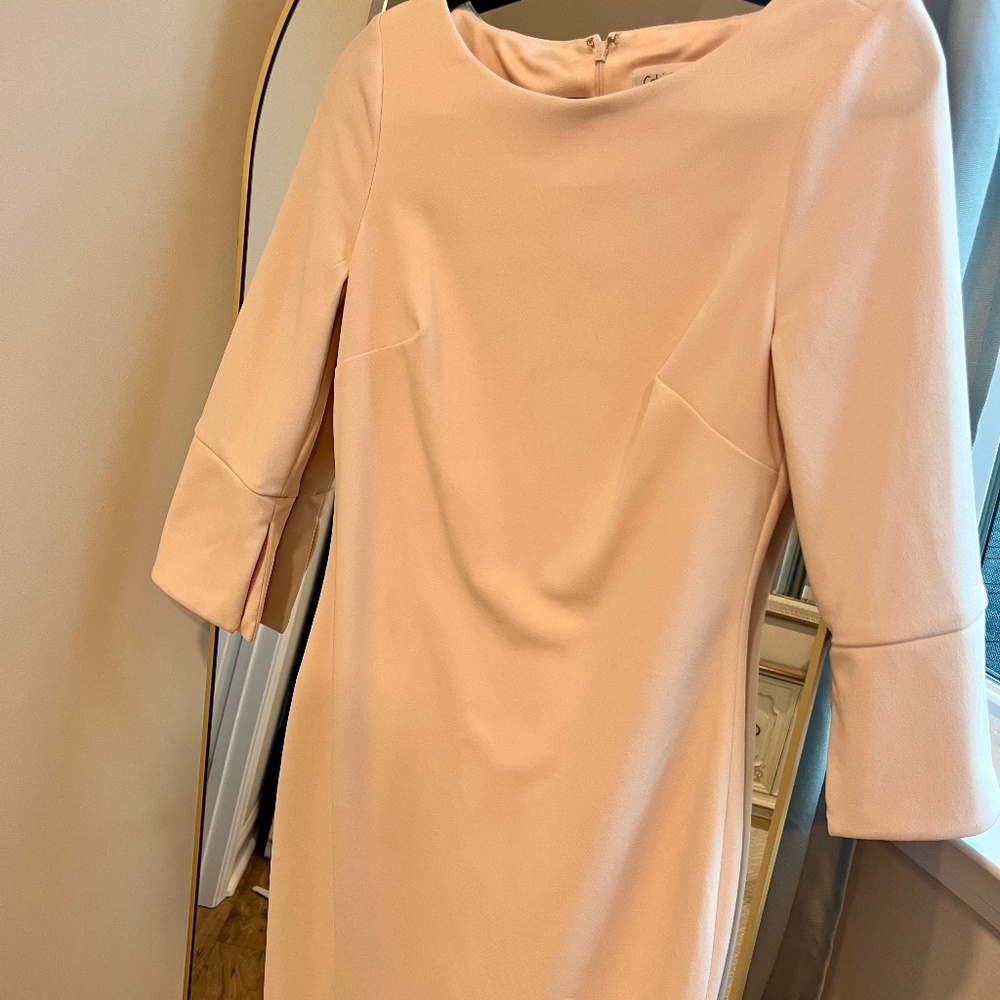 Neutral Blush Sheath Dress